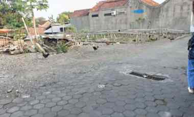 Tanah Luas Pekarangan di Joho Condong Catur Hadap Barat