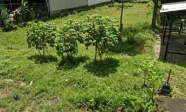 dijual tanah kadisoka purwomartani