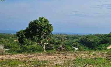 Dijual 1,5375 Ha. Full VIEW, jl. Ocean Blue Kampial Benoa Kuta Selatan