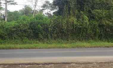 1,6 Ha Tanah Pinggir Jalan Mainroad, Mandalasari, Cikalong Wetan