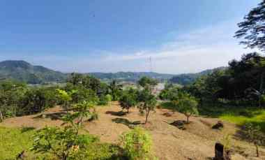 Jual Cepat Tanah Kebun Durian 5 Ha di Leuwiliang Bogor sudah SHM