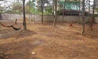 dijual tanah kampung leles