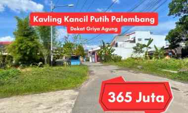dijual tanah kancil putih