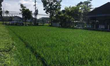 dijual tanah karangploso