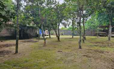 Jual Tanah Luas Bonus Bangunan Rumah Tinggal View Sungai dan Sawah