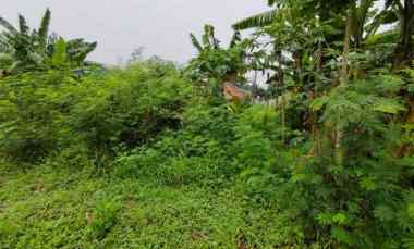 Kaveling Tanah Strategis di Grand Wisata Bekasi - dekat Masjid Raya