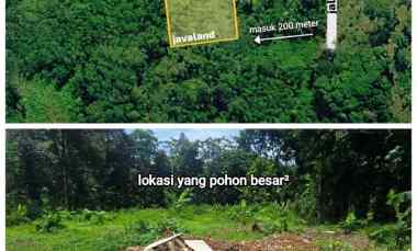 dijual tanah kebon di wonoplumbon mijen semarang