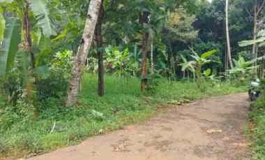 Tanah Dijual di Sukasari mandirancan kuningan