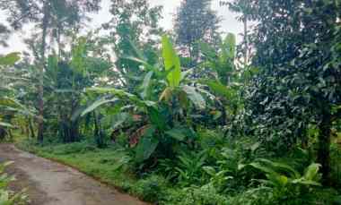 Tanah Dijual di Nanggerang mandirancan kuningan