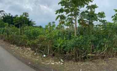 Dijual Tanah/kebun dekat Wisata Situ Bagendit Garut