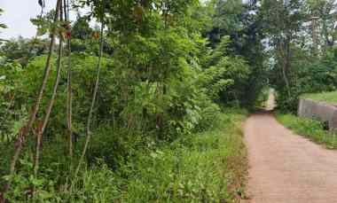 Dijual Tanah Kebun di Selaawi Pasawahan Purwakarta