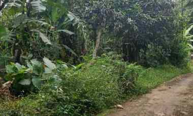 Tanah Dijual di Sindangkempeng kan. kuningan