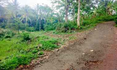 dijual tanah kebun mangga pinggir jl desa