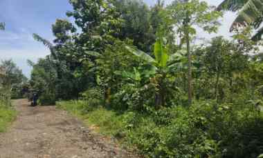 Tanah Dijual di Randobawa girang