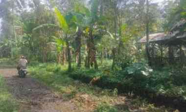 Tanah Dijual di Sangkan herang jalaksana kuningan