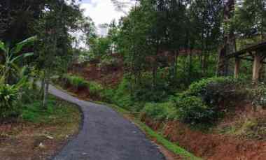 Tanah Dijual di Jl Raya Bojonggambir