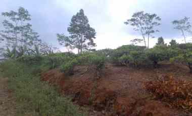 Tanah Dijual di Cukangjayaguna