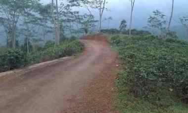 Tanah Dijual di Jalan Raya Taraju