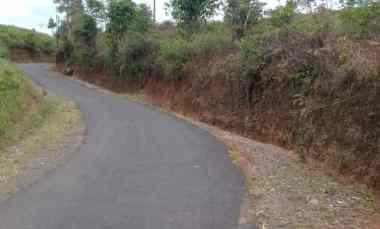 dijual tanah kebun produktif pinggir jalan