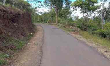 dijual tanah kebun produktif pinggir jalan