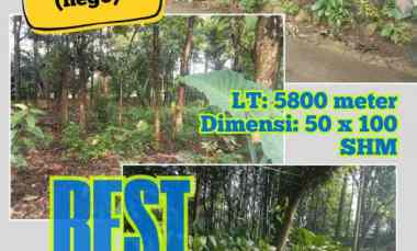 dijual tanah kebun siap bangun