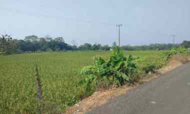 Tanah Dijual di Kec. pancalng kab. kuningan