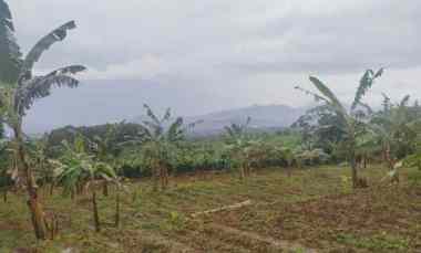 Tanah Dijual di Kecamatan Cijeruk Bogor