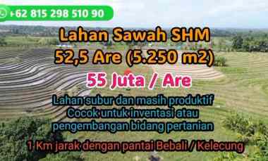 Dijual Lahan Sawah dekat Pantai Kelecung Pantai Bebali Tabanan Bal
