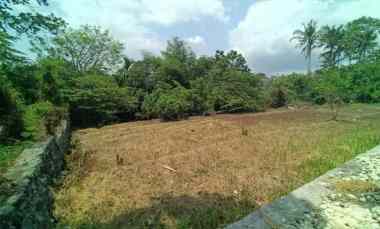 Tanah View Sawah dan Jungle 5 Kilometer ke Pantai Kedungu Bali