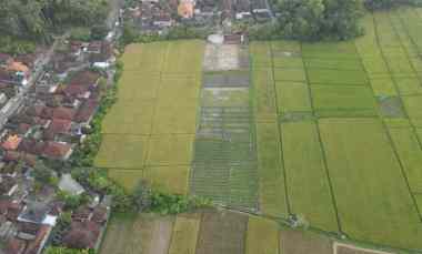 Dijual Tanah View Sawah dekat Pantai Kelating Kerambitan Tabanan Bali