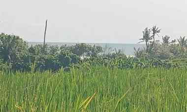 Tanah Dijual di Tibubiu, Tabanan, Bali