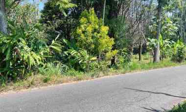 dijual tanah kemuning ngargoyoso