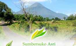 dijual tanah kemuning sumbersuko kec