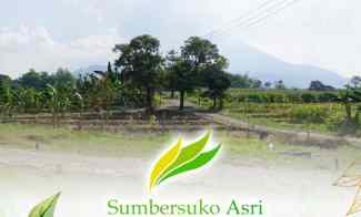 dijual tanah kemuning sumbersuko kec