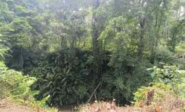 Tanah View Sungai dan Jungle di Kenderan dekat Ubud Bali