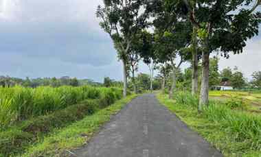 dijual tanah kerjo karanganyar jawa tengah