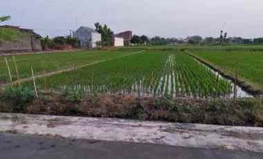 Lahan Permukiman Perkotaan 1 Ha di Delanggu Klaten 550rb/m2