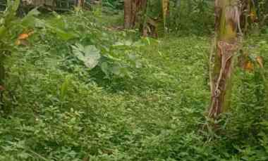 Dijual Tanah Komersil di Kelapa Nunggal