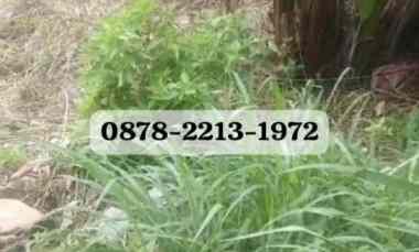 Tanah Dijual di KOMPLEK BOJONGKONENG CIKUTRA