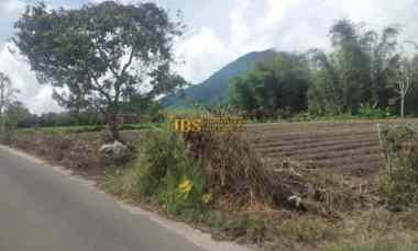 Dijual Tanah Kosong di Daerah Tanjung Barus - Berastagi