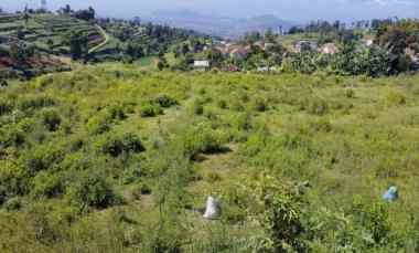 1,4 Ha Kebun View Indah Perbukitan Pakuhaji, Ngamprah, Bandung Barat