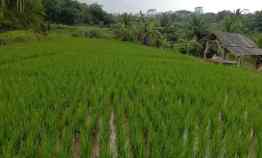 Dijual Tanah Berupa Sawah Froduktif Setahun 3x Panen Luas 3600m2 Cocok