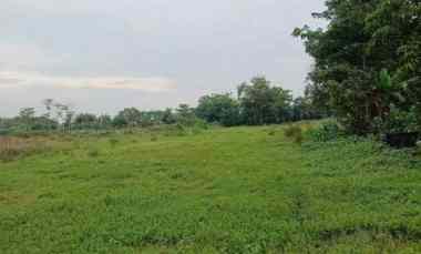 Kaveling Tanah Sawah Kampung Ilir Tunggakjati Karawang Barat