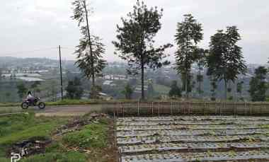 Tanah Dijual di Kp. Pasir Calung, Desa Cipada 2, Kecamatan Cisarua, Kabupaten Bandung Barat.