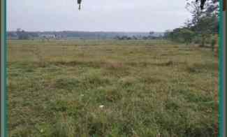 Dijual Sawah di Kp.Sukamulya, Dawuan, Subang dekat Jalan Desa Strateg