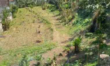 Dijual Tanah Strategis dekat Universitas Jember dan Politeknik Negeri