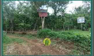 dijual tanah kuto rejo