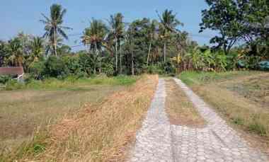 Peluang Langka Tanah Datar Langsung di Pinggir Jalan Nasional