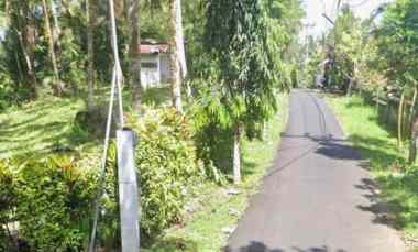 dijual tanah lalanglinggah tabanan bali