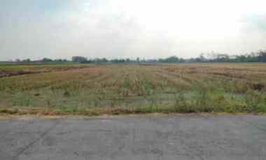 Dijual Tanah Sawah SHM 1.365 M Dibal Ngemplak Nego Bebas